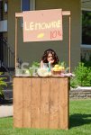 25456230-bored-girl-at-lemonade-stand.jpg